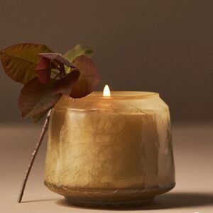 By Anthropologie Pumpkin & Sweet Vanilla Glass Jar Candle